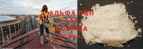 сатива Алексин