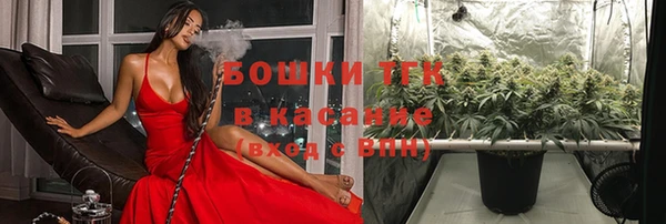 соль курить ск Алзамай