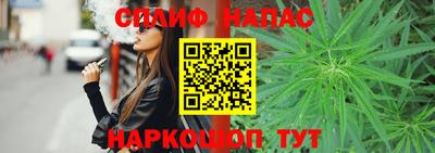 ешки Камышлов