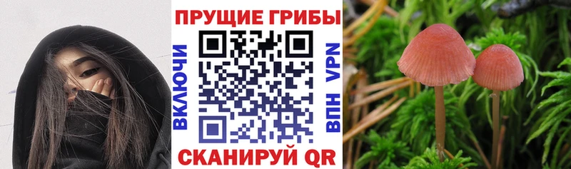Галлюциногенные грибы ЛСД где купить Куйбышев