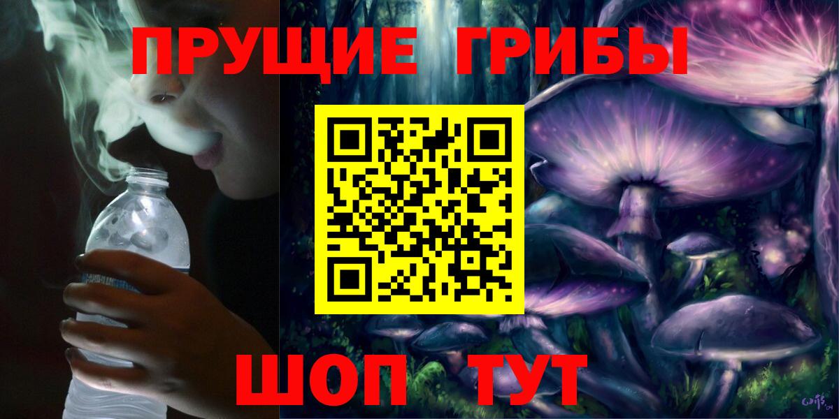 Псилоцибиновые грибы MAGIC MUSHROOMS  Вход с VPN  Куйбышев 